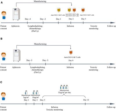 Use of blinatumomab and CAR T-cell therapy in children with relapsed/refractory leukemia: A case series study